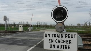 TRAINS FRANCE PLM BOURGOGNE [upl. by Llenor625]