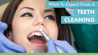 What To Expect From A Teeth Cleaning [upl. by Liatnahs]