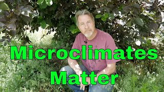 Understanding Microclimates  Change Climates in Your Garden [upl. by Atimed]