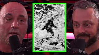 Joe Talks About Bigfoot and UFOs [upl. by Ahterod]