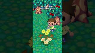 The Animal Crossing Grass Controversy Explained [upl. by Yziar519]