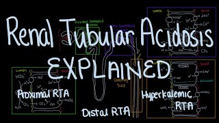 Renal Tubule Acidosis RTA Explained [upl. by Vergos933]