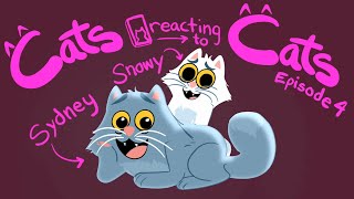 Cats react to cat videos Episode 4 [upl. by Irrok450]