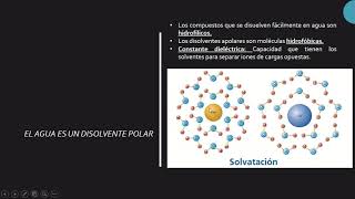 EL AGUA Propiedades fisicoquímicas puentes de hidrógeno tensión superficial polaridad [upl. by Nalod]