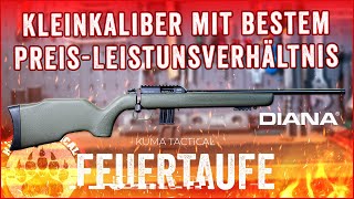 Viel Gewehr für wenig Geld  Diana R22 Kaliber 22 LR  Feuertaufe [upl. by Animar]