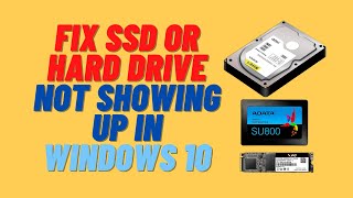 Fix SSD or Hard Drive Not Showing up in Windows 10 [upl. by Eikcir251]