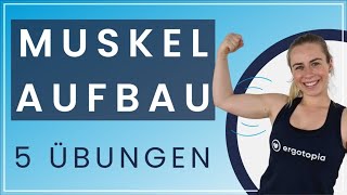 Grundübungen für den Muskelaufbau  5 Übungen für zu Hause [upl. by Halsy]