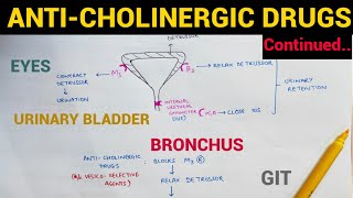 Autonomic Pharmacology  9  AntiCholinergic Drugs Continued  EOMS [upl. by Oralla729]