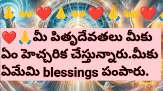 💯❤️🙏మీ పితృదేవతలు మీకు ఏం హెచ్చరిక చేస్తున్నారుమీకు ఏమేమి blessings పంపారు [upl. by Sirmons]