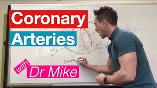 Coronary Arteries  Cardiology [upl. by Enilasor]