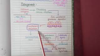 Membranoproliferative Glomerulonephritis  Pathology [upl. by Cresida]