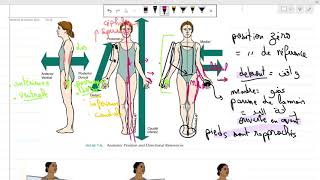 Anatomie 1ere année médecine COURS 1 introduction سنة أولى طب [upl. by Rosemarie]