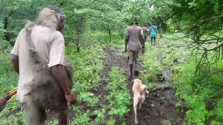 SKILLED HUNTERS IN THE BUSH OF AFRICAHADZABE TRIBE HUNTERS [upl. by Rae]