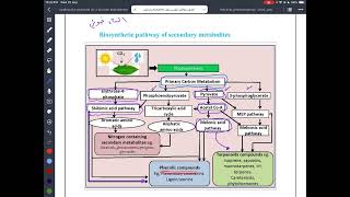 Pharmacognosy Lecture 1 plant metabolites [upl. by Lyrahs]