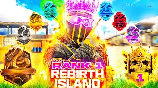 1 RANKED PLAYER vs EVERY RANK on Rebirth Island [upl. by Otter]