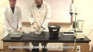 Protein Methods 2010  Lab 3 Protein Extraction [upl. by Anaujd470]