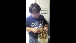 Giant Isopod [upl. by Bayer]