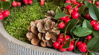 ❄️ Wintergreen  Gaultheria  Arrangement ❄️ [upl. by Otipaga]