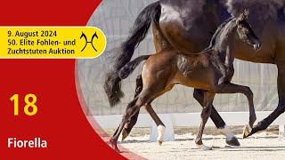 50th Elite Foal and BroodmareAuction  Aug 9th  No 18 Fiorella by Feliciano  Fürst Romancier [upl. by Randell294]