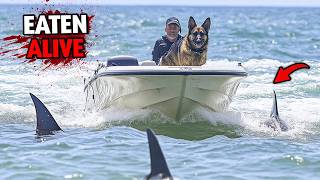 Dog Pushes Owner Into Shark Infested Waters by Accident Then This Happens [upl. by Echikson]