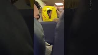 This Southwest Flight Attendants Safety Demonstration Is Hilarious 🤣 [upl. by Kreis626]