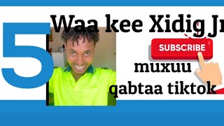 Maxaad kataqaana wiilka Tiktok ukala kacsantahay maalmahaan Xidig jr👍🤔 [upl. by Chloris]