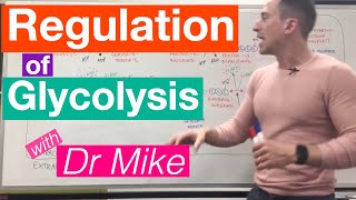 Glycolysis  Metabolism [upl. by Letha577]