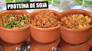 3 VERSÕES DE PROTEÍNA DE SOJA  COMO FAZER A PTS PERFEITA  TNM Vegg [upl. by Jacquetta]