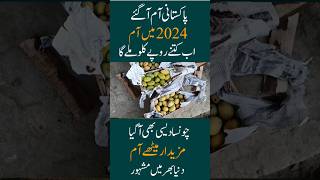 Pakistani mango 2024 new fasl a gai market mein [upl. by Llirret661]