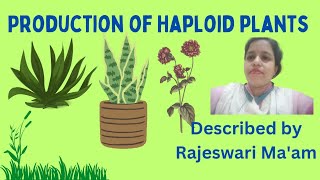 Production of Haploid plants [upl. by Siulegroj]