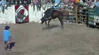 JARIPEO ESTILO COLIMA SLP 13072008 [upl. by Ibby183]