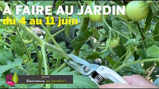 QUE FAIRE DANS VOTRE JARDIN DU 4 AU 11 JUIN  L’AGENDA PRATIQUE DU JARDINIER AVEC PATRICK ET ROLAND [upl. by Nirrej]