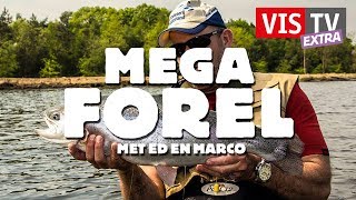 VisTV Extra 37  Mega forel met Ed en Marco [upl. by Yetnom]