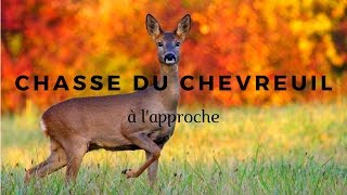 Une approche efficace  Tir dun chevreuil à lapproche [upl. by Emilia]