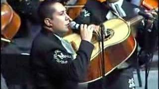 MARIACHI VARGAS DE TECALITLAN EL PASTOR [upl. by Fara]