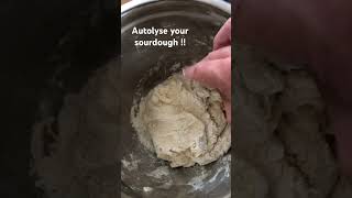 Autolyse that dough sourdough baking food [upl. by Morley]