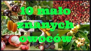 10 mało znanych owoców w Polsce [upl. by Enoved542]