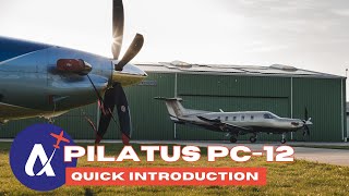 PILATUS PC 12 NGX Quick Introduction 2024 [upl. by Custer]