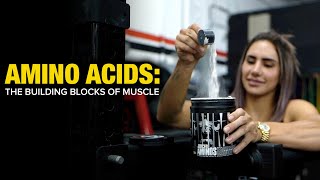 Amino Acids The Building Blocks of Muscle [upl. by Eidod]