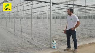 Aprende en 6 min DENSIDAD DE CAMPO  in situ [upl. by Cl]