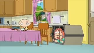 Family Guy  Stewie Stewie Stew Stewart Stew Stewie [upl. by Winston]