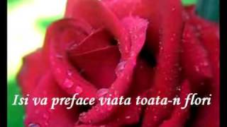 Alla Pugacheva  Milioane De Trandafiri Rosii Million Roses  Milion Alix Roz [upl. by Eirrot213]