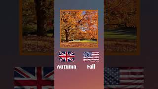 quotBritish vs American English Learn Key Vocabulary Differencesquot [upl. by Mylan55]