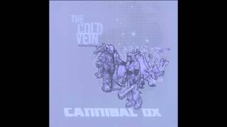 Cannibal Ox  quotIron Galaxyquot Official Audio [upl. by Vaenfila578]