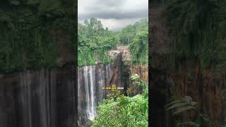 detikdetik terjadinya banjir lahar dingin gunung Semeru [upl. by Knitter332]