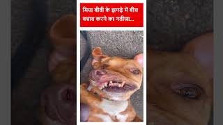 बीच बचाव करने का नतीजा pati patni family love like comedy wife reels trending shrots [upl. by Asert176]