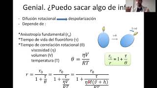 Anisotropía de fluorescencia Ecuación de Perrin [upl. by Kenay739]