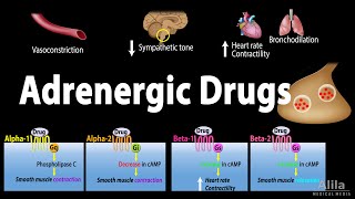 Adrenergic Drugs  Pharmacology Animation [upl. by Fulmis]