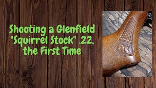 Shooting a Glenfield quotSquirrel Stockquot 22 the First Time [upl. by Grube]