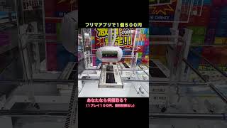 クレーンゲーム クソ転売ヤーホイホイ 100円自販機 錬金術 処分台 shorts [upl. by Morville503]